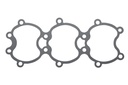 Gasket (812868)