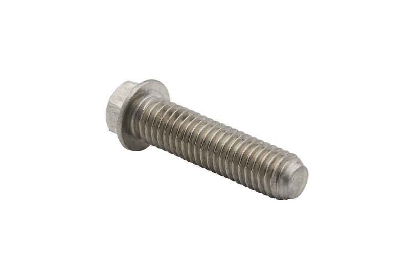 [10 66024] Screw (66024)