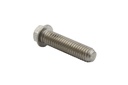 Screw (66024)