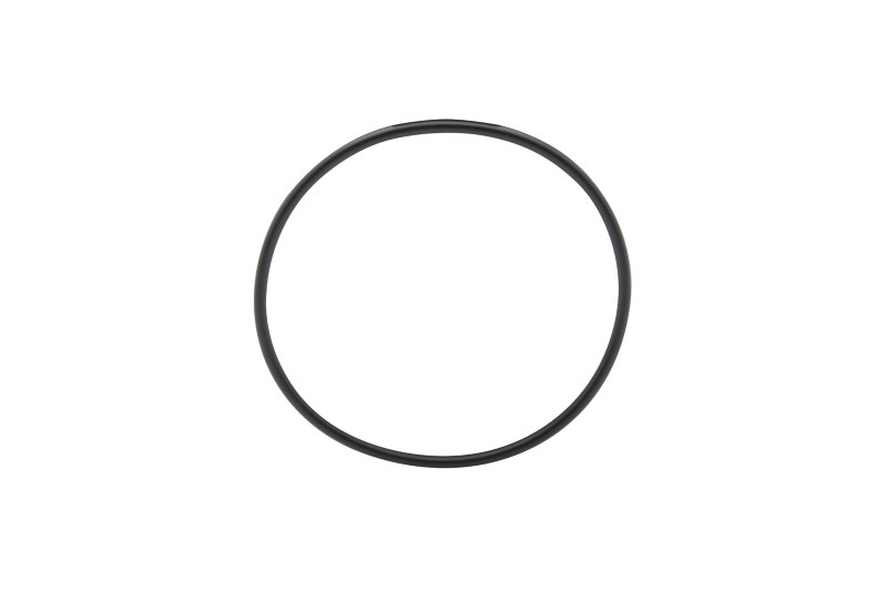[25 805732] O Ring (805732)