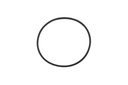 O Ring (805732)