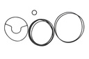 O ring kit (832804A03)