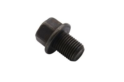 [828818 1] B Sump Plug (8288181)