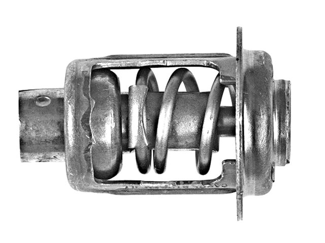 Thermostat (895338)