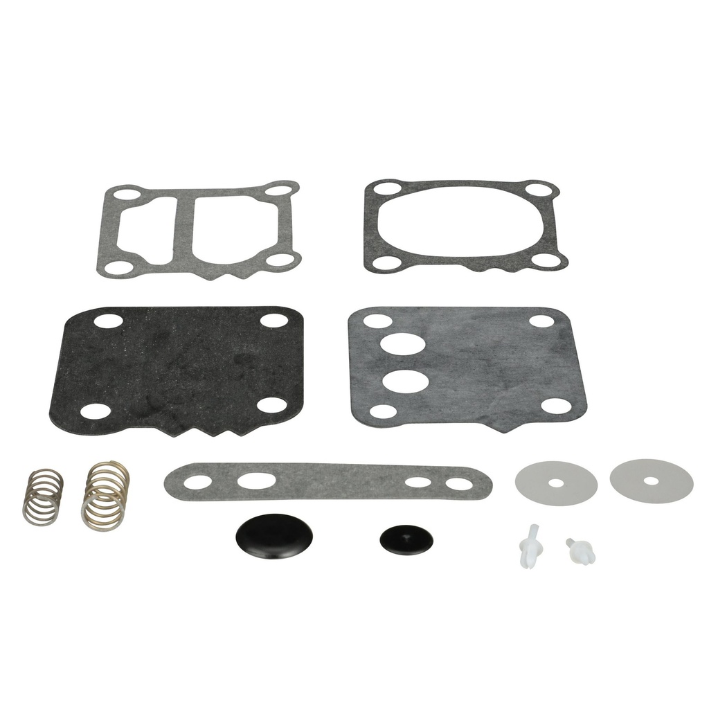 Fuel Pump Kit (42909A4)