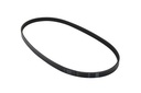BELT (828507Q01)
