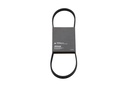 V Belt (828507Q11)