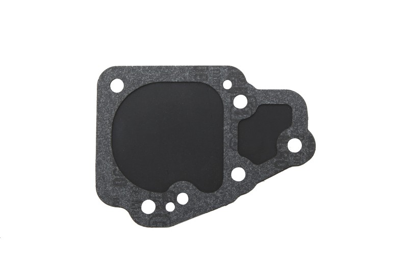[1395  9635] DIAPHRAGM (9635)