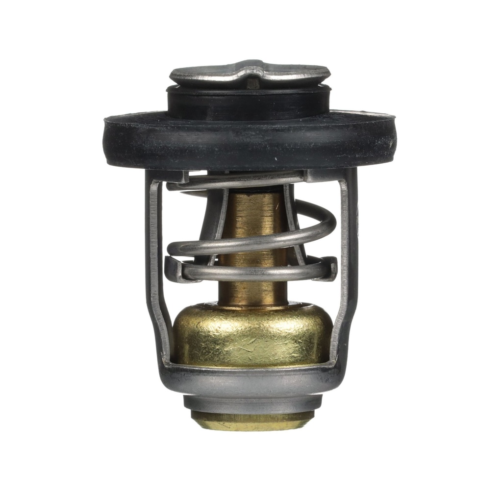 THERMOSTAT KIT (825212A1)