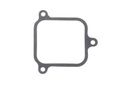 Gasket (805522A1)