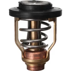 [8M0119207] MERCURY OUTBOARD THERMOSTAT (8M0119207)