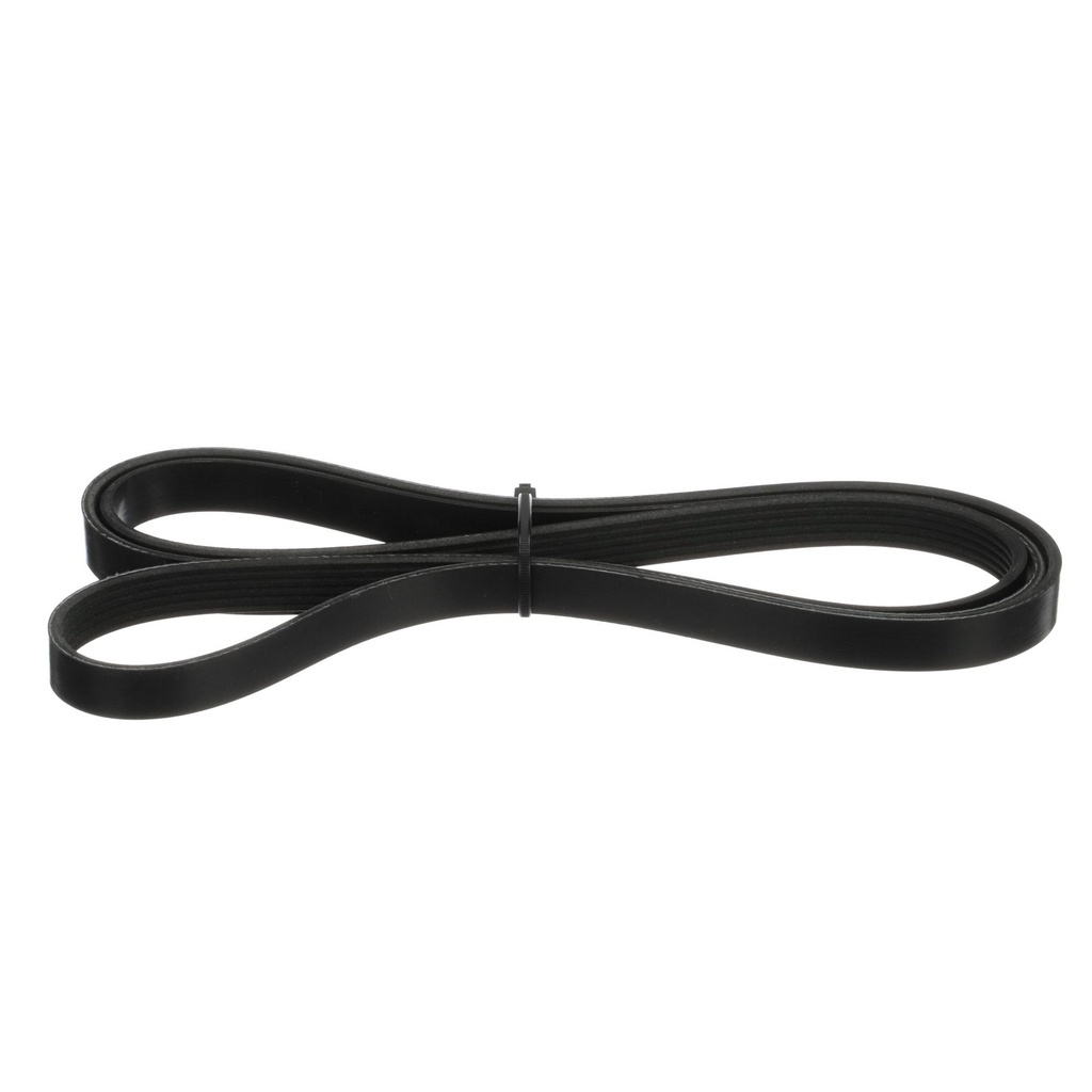 BELT (865615Q02)