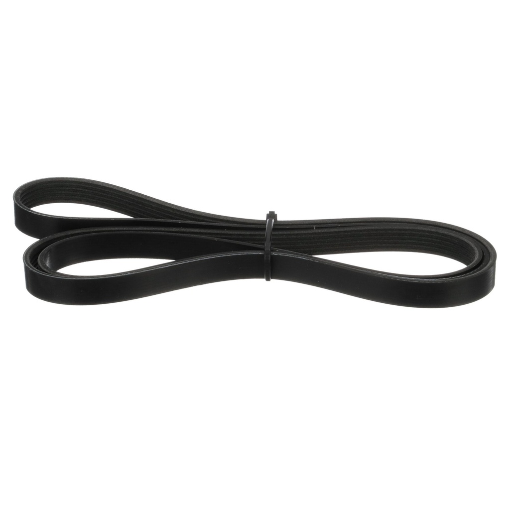 [57 865615Q05] Belt (865615Q05)