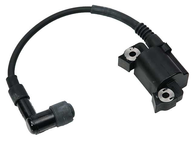 [803559T08] IGNITER W/CAP (803559T08)