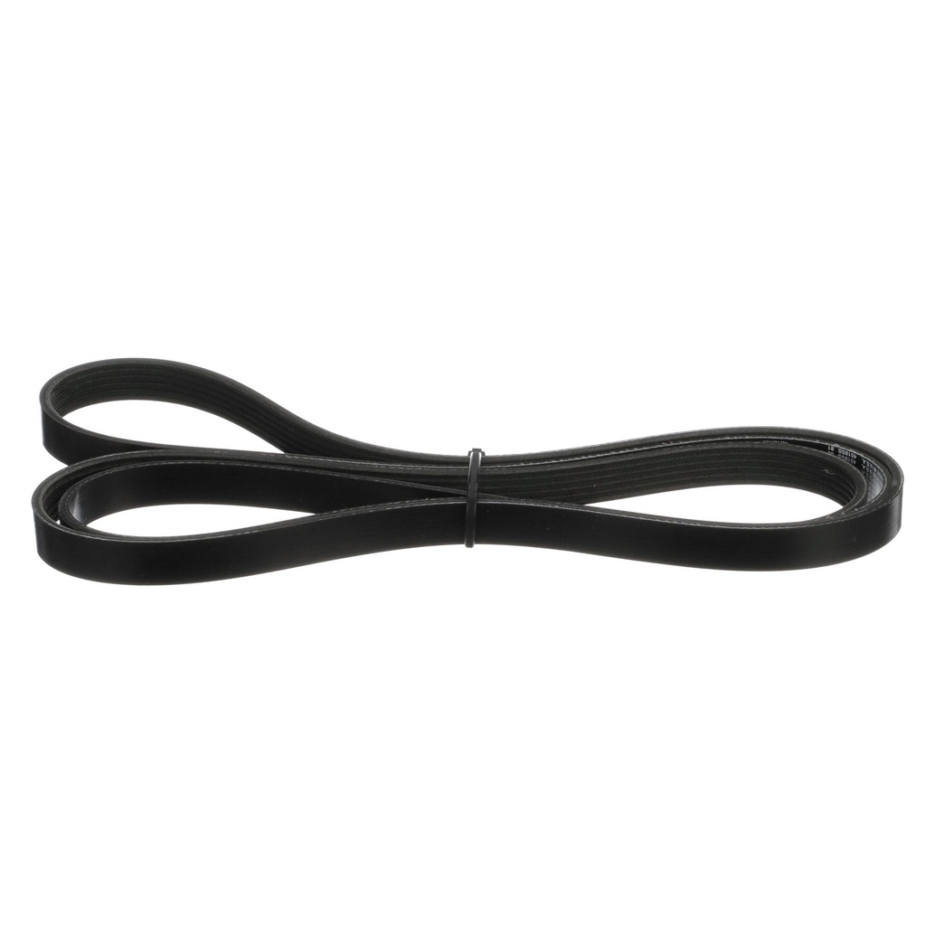 [57 865635Q01] Belt Serpentine (865635Q01)