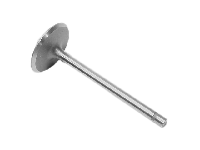 [881674] VALVE-STD (881674)