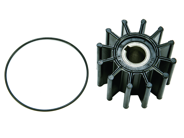 Impeller & O Ring (879312025)