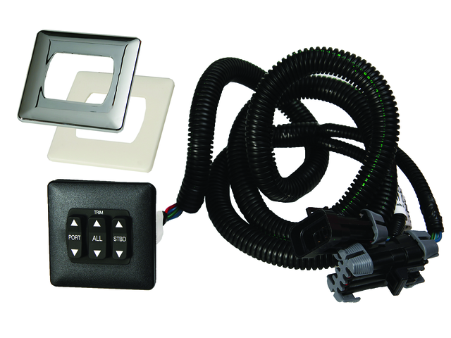 [87 879303A02] TRIM PAD - DTS DUAL ENGINES (87879303A02)