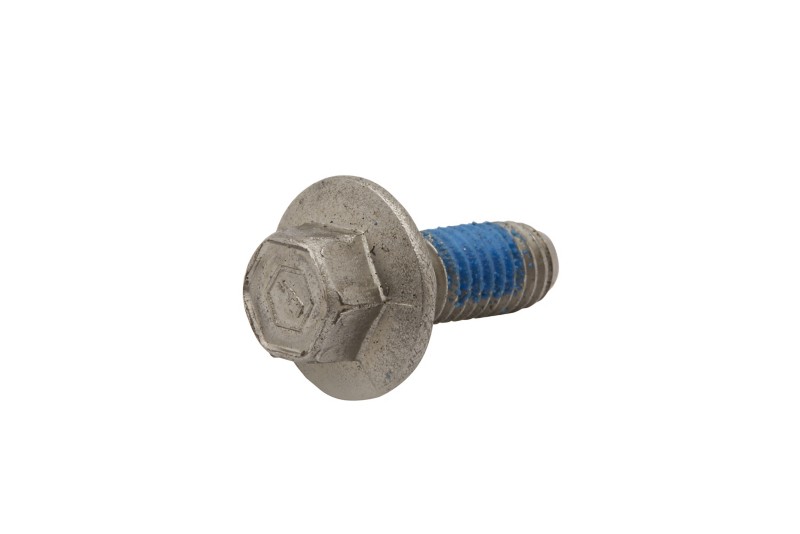 [10 821300 16] Screw (82130016)