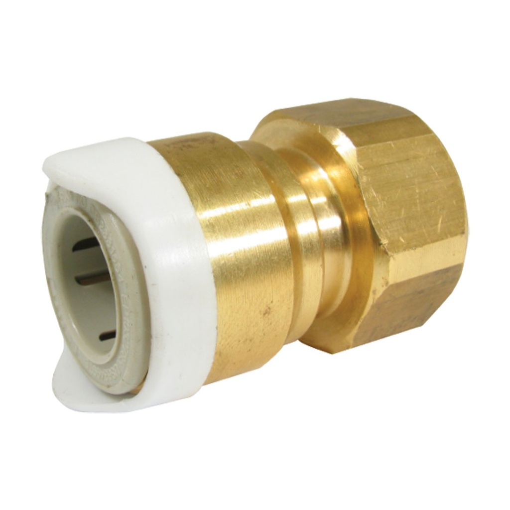 [136635-BLA] WHALE SYSTEM 15 BRASS THREAD ADAPTER 3/8" BSP FEMALE (136635)