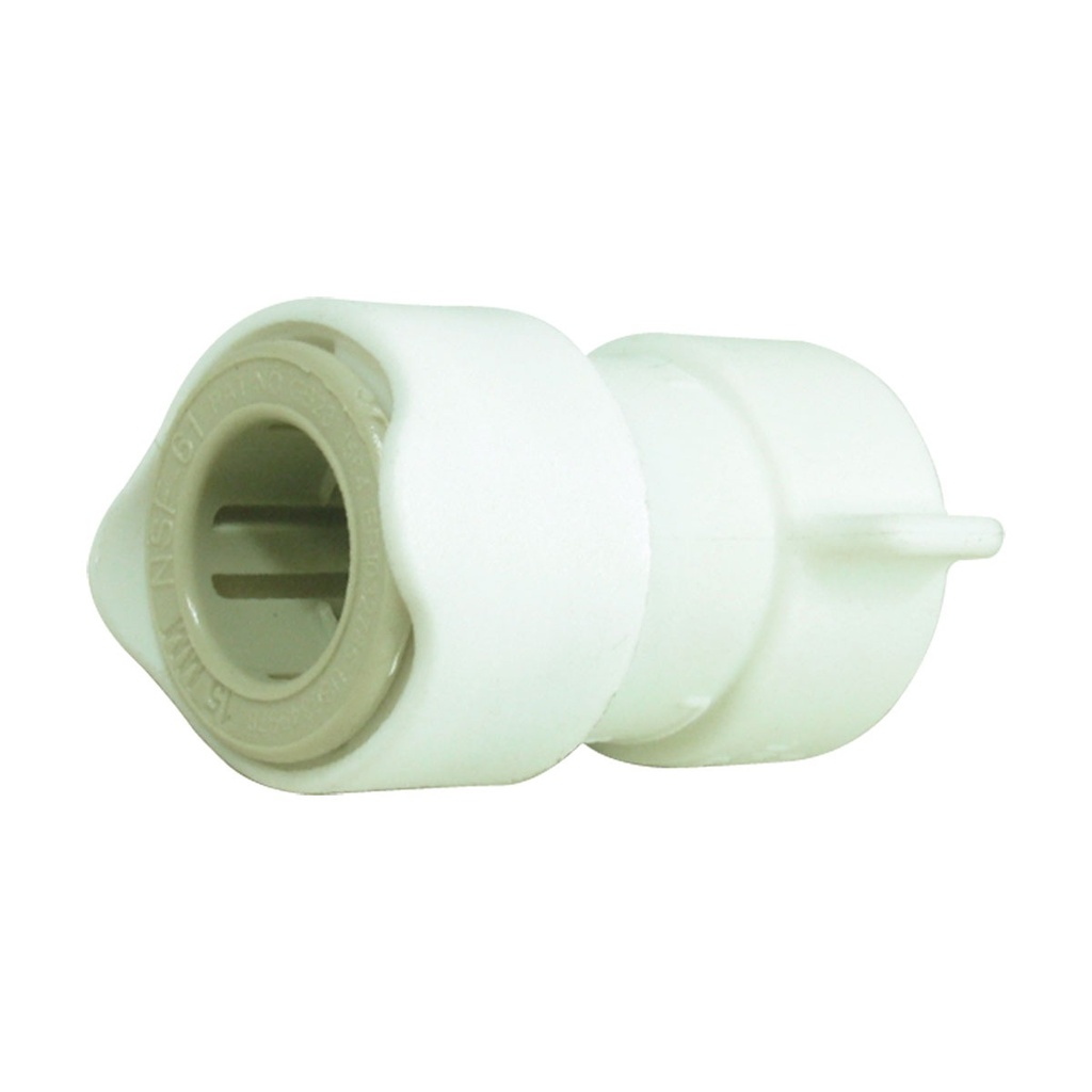 [136646-BLA] WHALE SYSTEM 15 THREAD ADAPTER 3/4" BSP FEMALE (136646)
