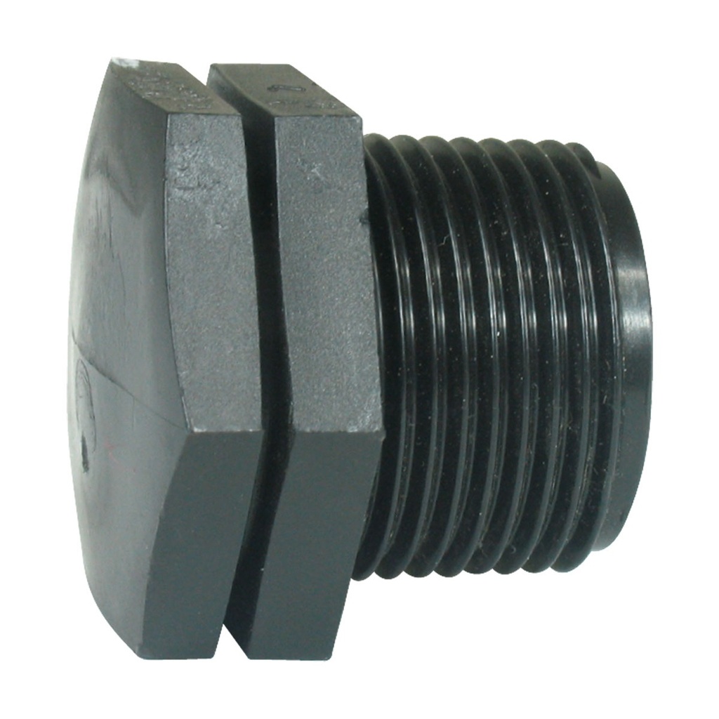 [138536-BLA] BLA END PLUG 1" BSP (138536)