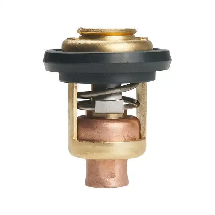 [855676 1] Thermostat (8556761)