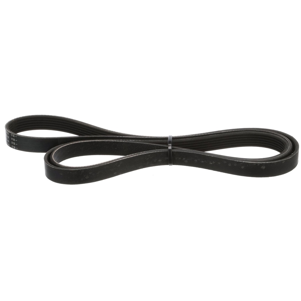 [57 807755Q04] BELT DNS (807755Q04)