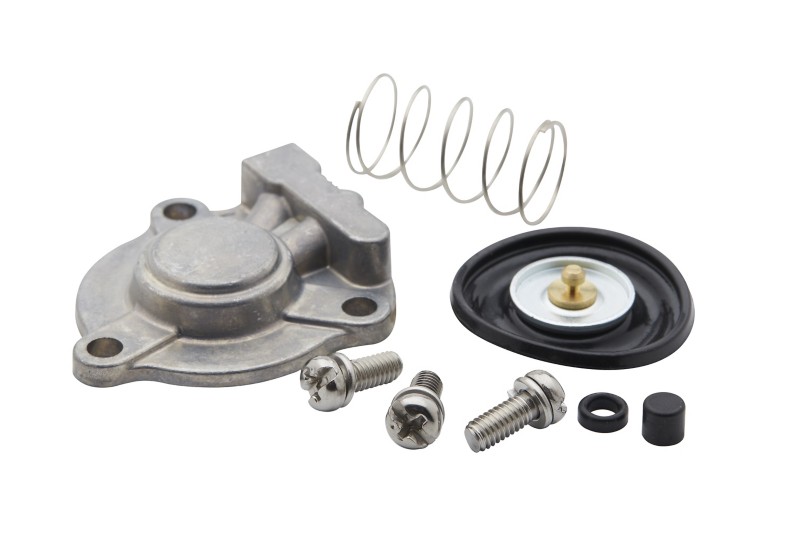 [808509] DIAPHRAGM KIT (808509)