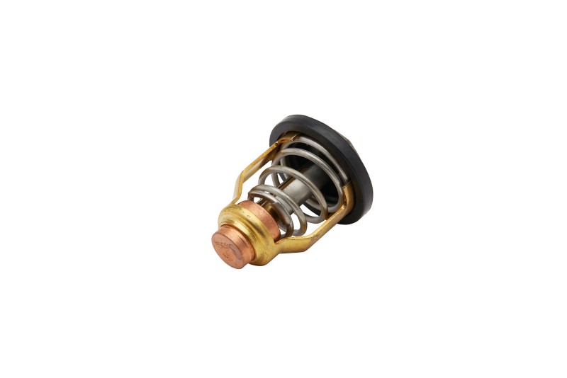 [8M6013864] Thermostat (8M6013864)