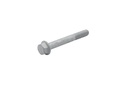 Screw (8M0145750)