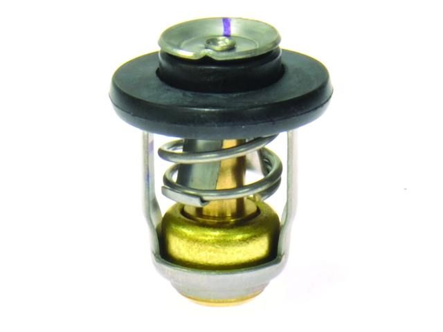 Thermostat 8M0139434