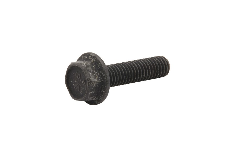 [10 885166] Screw (885166)