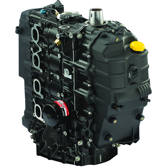 [8M0070524] 150 EFI Four Stroke (8M0070524)