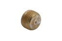 PLUG (38407)