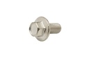 SCREW (4010612)