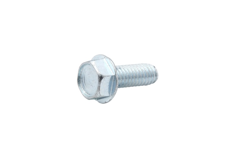 [10 816585] SCREW (816585)