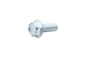 SCREW (816585)