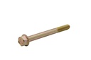 SCREW (81742780)