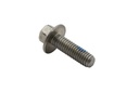 SCREW @5 (82130020)