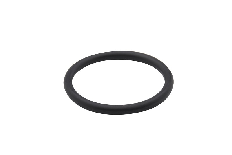 [25 863090] O RING (863090)