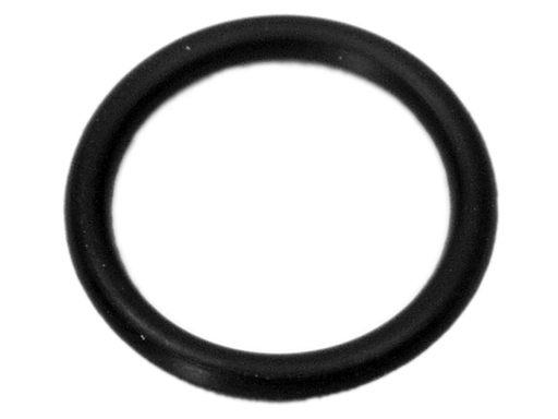 [25 32509] O-Ring (32509)