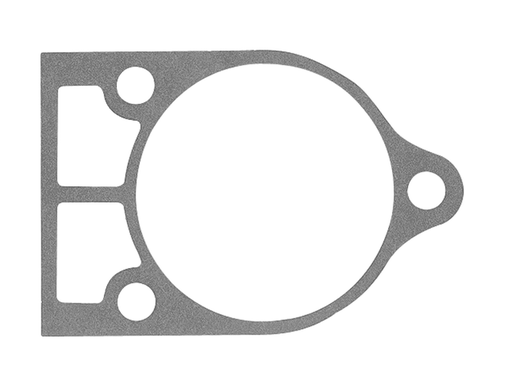 [27 32771] DNS Gasket (32771)