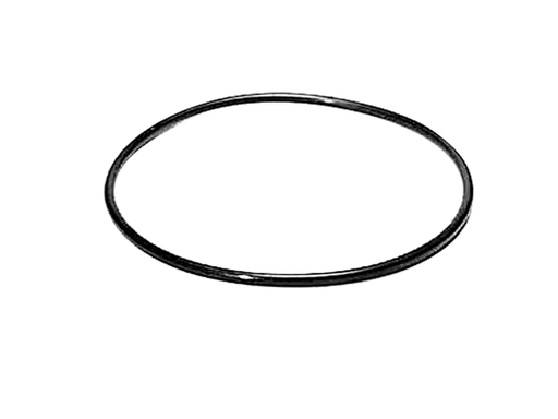 [25 823683] O Ring (823683)