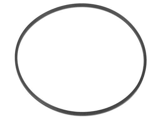 [878453] Seal (878453)