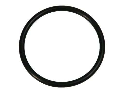 [25 82275M] Oring (82275M)