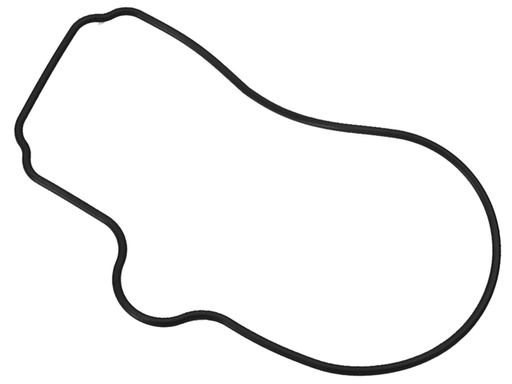 [25 898101126] O'Ring (898101126)