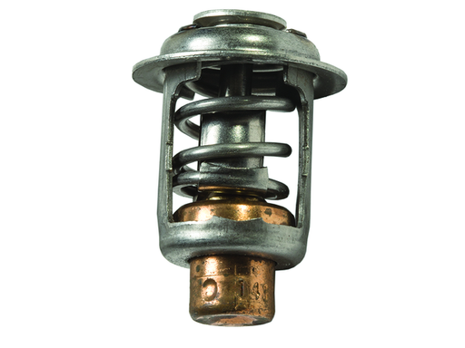 [833072003] Thermostat (833072003)