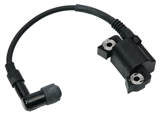 [803559T08] IGNITER W/CAP (803559T08)