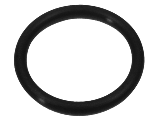 [25 803513007] O RING (803513007)